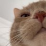 🐠Amna :) profil fotoğrafı