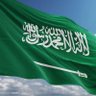 🇸🇦's profile picture