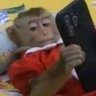 macaco colorado 🇦🇹 profil fotoğrafı