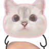 Profilbild von sleeping cat
