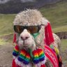 Profilbild von Birkenstock