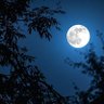 🌙 的头像