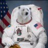 Profilbild von Lucas Hash