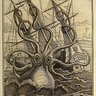 The Kraken 🇬🇧🇮🇪✝️ profil fotoğrafı
