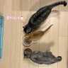 サカモモ 的头像
