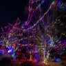 Sparkles25 的头像