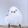 い〜な profil fotoğrafı
