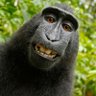 Profilbild von Black Alpha