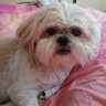 Profilbild von Joanne Smith - Jo