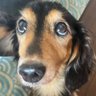 Profilbild von AIKA 0227