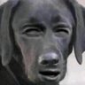 Фото профиля winlivememes
