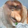 Profilbild von Ondřej