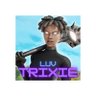 Profilbild von YT_LuvTrixie