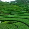Abu Talab 的头像