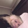 j.1's profile picture