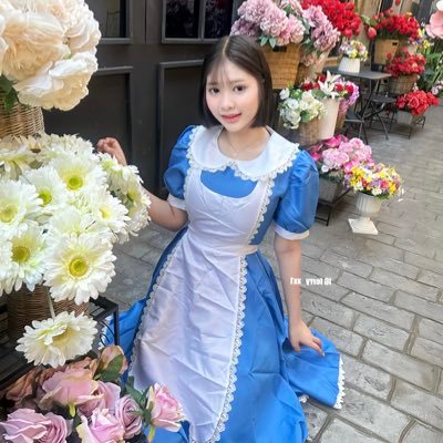 ferry in Wonderland's profile picture