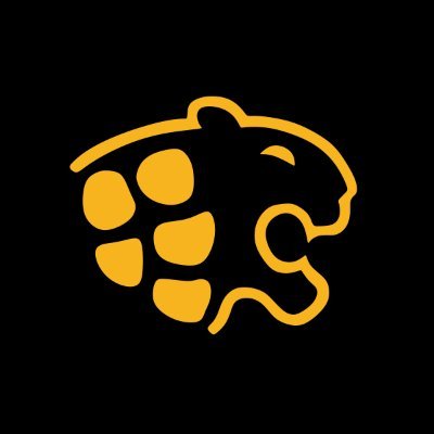 ReporteMayaMX's profile picture