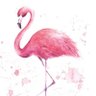 🌸 The Pink Flamingo 🌸 profil fotoğrafı