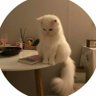 𝑱𝒎𝒐𝒐𝒍 🩺 profil fotoğrafı