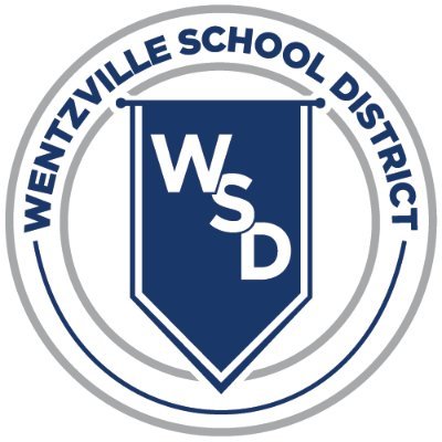 WSDinfo's profile picture