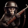 Фото профиля Milsurp Monkey