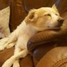 Barbra's profile picture