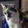 PamBen's profile picture