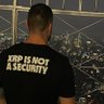Welsh_XRP 🏴☠️🪝 profil fotoğrafı
