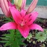 Фото профиля Joly peggy