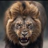 العسكري profil fotoğrafı