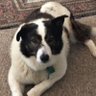 DennisG's profile picture