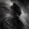 Crypto Archangel 𝝅's profile picture