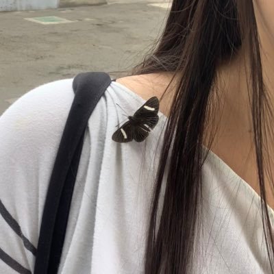 IslaGigi6's profile picture