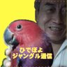 凍結再登録ひでぽよ熱帯ジャングル通信、独眼竜国際ジャーナル's profile picture