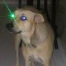 Profilbild von guardião da namizinha