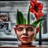 Фото профиля AmaryllisPot