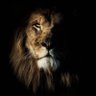 بن سعود's profile picture