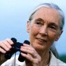 Jeanne Ausgour profil fotoğrafı