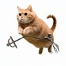 Profilbild von DeadCatBounce