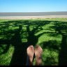 AndreaDinorah 🇦🇷 的头像