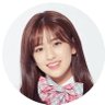 キヌアリーブス's profile picture