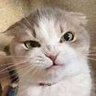 Profilbild von sfrPILLED