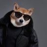 Jun's profile picture