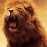 Mehmet0100🇹🇷 profil fotoğrafı