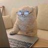 ثُريا👩🏻💻's profile picture