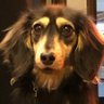 chloe 的头像