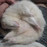 Edison_ow's profile picture