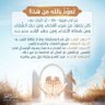 abo shwje asamey's profile picture