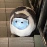 antoine camino's profile picture