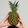 やまあじ's profile picture